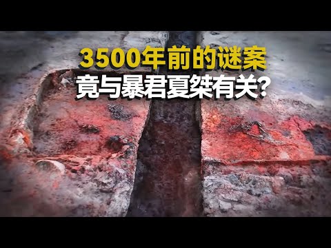发掘成果震惊考古学界!小土墩挖出夏朝顶级青铜器 竟是著名暴君夏桀的!——三官庙遗址 丨 中华国宝