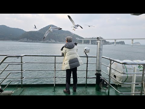 해운대뽀뽀통닭 25 11 25 거제