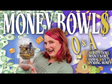 Money Bowl How-To | Everything You Need To Know