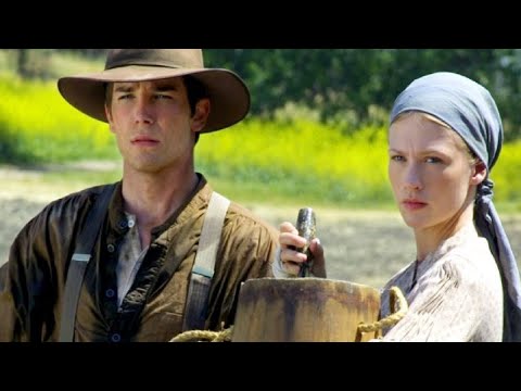 一次性看完《爱之蔓延》 | 这才是真正的冷门佳作,堪称人生“明灯”,简单的故事却寓意无穷!【光影】