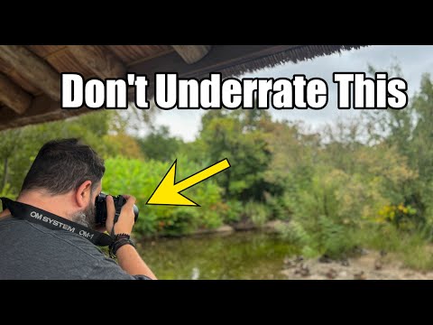 OM System Autofocus & ISO Put to the Test | Better Than You Think!