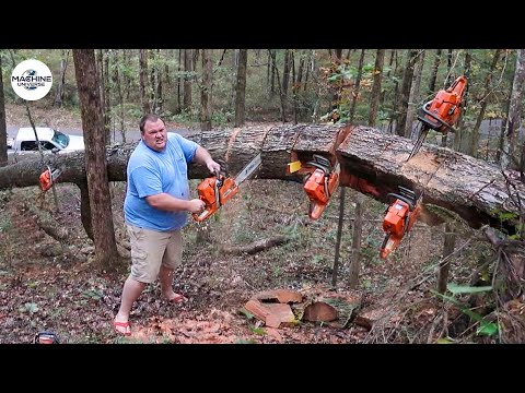 Idiots With Chainsaws: Tree Cutting Fails | Extreme Dangerous Logging Truck Fails #30