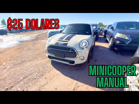 BUSCANDO CARROS A PRECIO MUY BAJO EN UNA SUBASTA DE USA