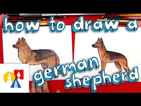 How To Draw A German Shepherd