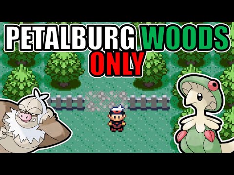 Can you beat Pokémon Ruby with only Petalburg Woods Pokémon?