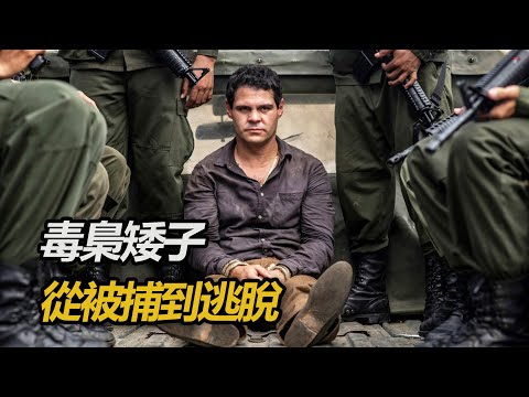 1米6的身高,卻掌管墨西哥最大販毒集團!一路從農民走向毒販,再從被捕到逃脫!一口氣看完《毒梟矮子》1-3季#解說 #一口氣看完 #电影解说