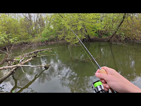НИЧТО НЕ ПРЕДВЕЩАЛО БЕДЫ, НО ТУТ ПРОИЗОШЛО СТРАШНОЕ...! Рыбалка на лесной маленькой речке 2025.
