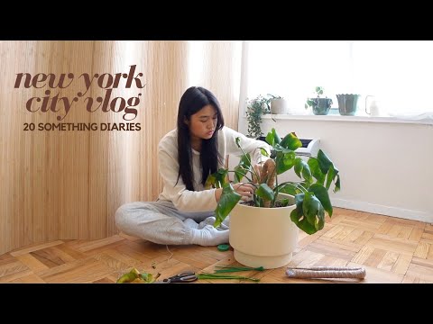 20 Something Diaries | social & productive spring days, follow me around nyc