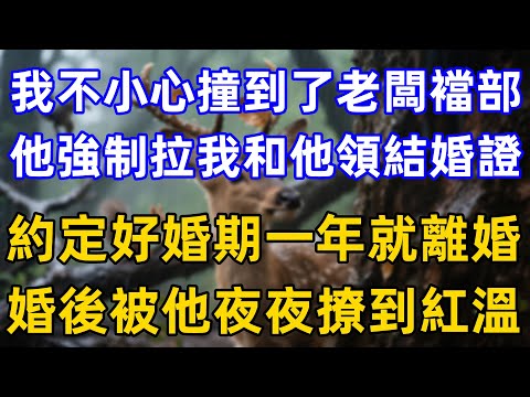 我不小心撞到了老闆襠部,他強制拉我和他領結婚證,約定好婚期一年就離婚,婚後被他夜夜撩到紅溫!……#情感故事 #家庭故事 #夫妻生活 #一口气看完 #完结文 #故事頻道 #小说推荐 #小说听书