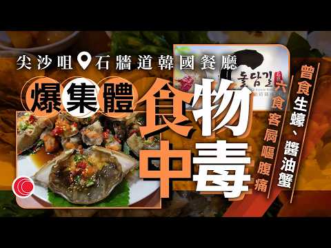 有線新聞 晚間新聞|尖沙咀石牆道韓式餐廳爆食物中毒 6顧客曾食生蠔、醬油蟹|狗隻友善餐廳|有餐廳欲申請冀人寵共融 狗主稱會盡責:拖狗繩係一定要㗎|HOY TV NEWS| 20260204
