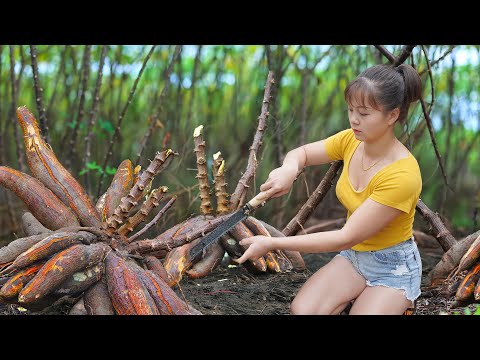 Harvesting Big Sweet Potato Goes To The Market Sell, Farm Life - Cooking Potatoes
