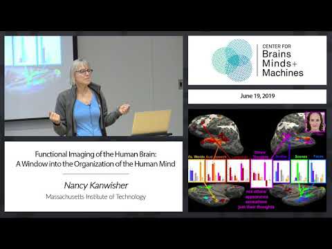 Functional Imaging of the Human Brain: A Window into the Organization of the Human Mind