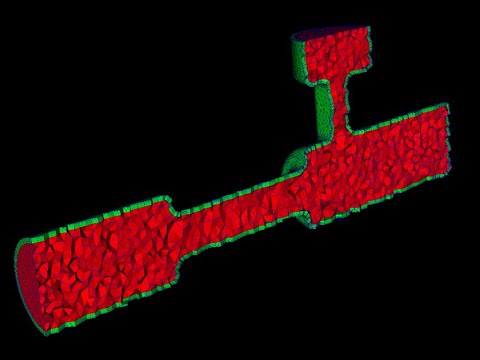 OpenFOAM Tutorial Meshing with ENGRID #1 of 2 (MESH)