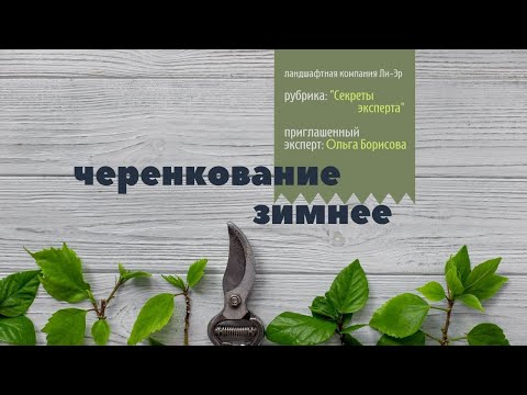 Одревесневшее (зимнее) черенкование
