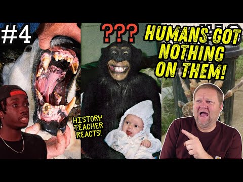 10 Most Disturbing Ways Animals Can Hunt You | Casual Geographic | History Teacher Reacts