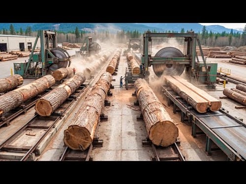 Inside the Largest Wood Sawmill Factory – How Plywood Is Made From Logs to Table (Full Process)