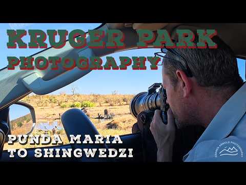 Kruger National Park Photo Safari Day 1: Punda Maria to Shingwedzi - A Self-Drive Experience