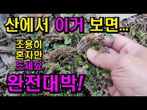 Superhero! The ultimate spring vegetable!