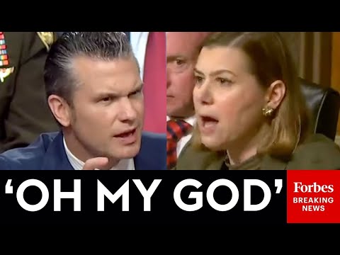 'You Don't Understand': Elissa Slotkin Lambasts GOP Lawmakers, Trump Nominees | 2025 Rewind