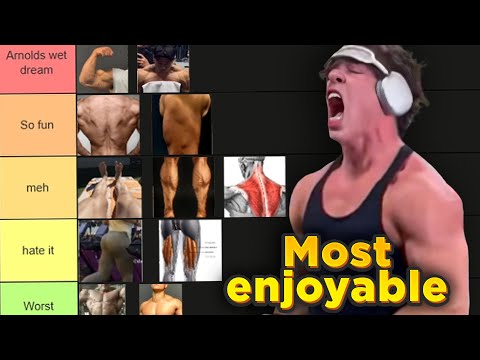 Most Exciting Muscle Groups To Workout (TIER LIST)