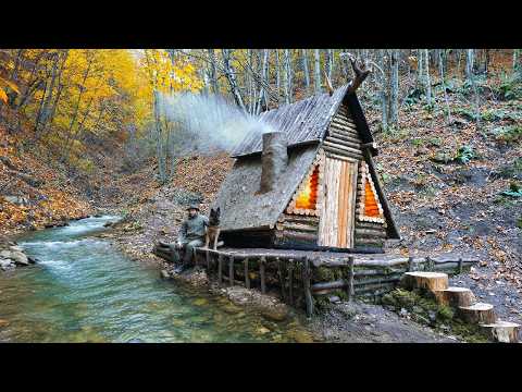 Off Grid Forest Life With My Dog | Building Our Cabin Far From People
