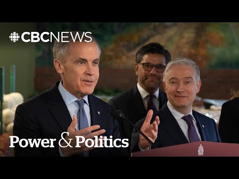 Liberals roll out new food affordability measures | Power & Politics