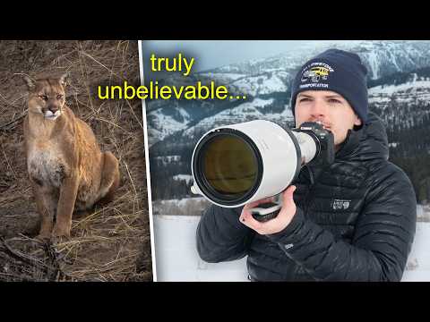 The Most Elusive Animal I’ve Ever Photographed…