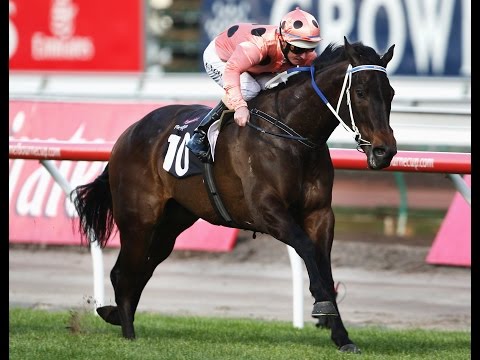 The Black Caviar story