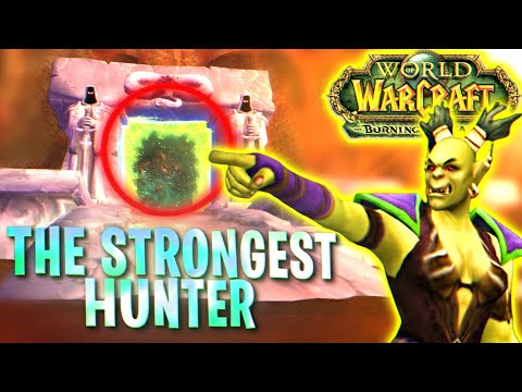 Playing Hunter With One Goal: Become the Strongest Before TBC