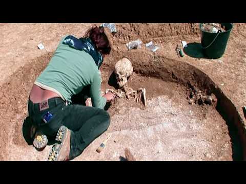 A19, l'autoroute à remonter le temps