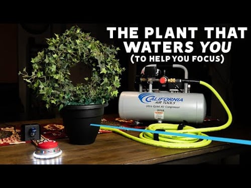 The Plant That Waters You (To Help You Focus)