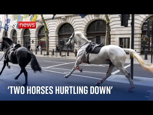 'Two horses started hurtling down the road' - Witness speaks to Sky News