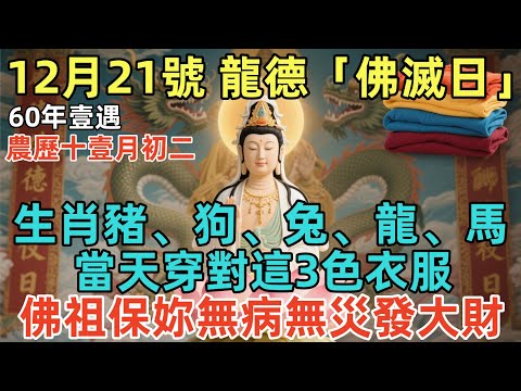 60年壹遇,就在明天!12月21號,農歷十壹月初二,龍德「佛滅日」,生肖豬、狗、兔、龍、馬,當天穿對這3色衣服,佛祖保妳無病無災發大財!#佛學 #佛淨 #佛陀 #佛法 #佛教 #修行