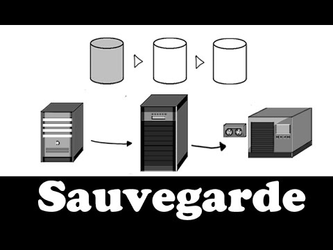 Comprendre la sauvegarde en 7 minutes