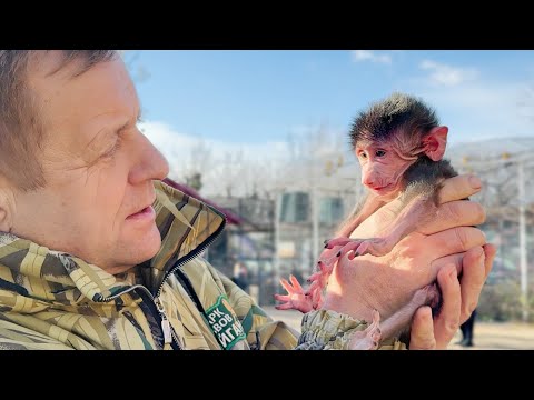 A newborn STAR! Anfisa is in shock, Lyusya is stressed – all attention is on the baby! Stepan's b...