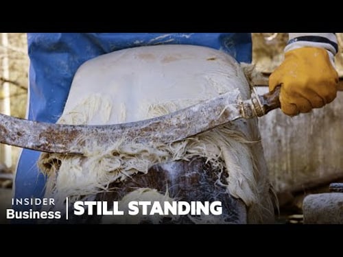 How A 92-Year-Old Saved The Ancient Craft Of Parchment-Making In Western Turkey | Still Standing