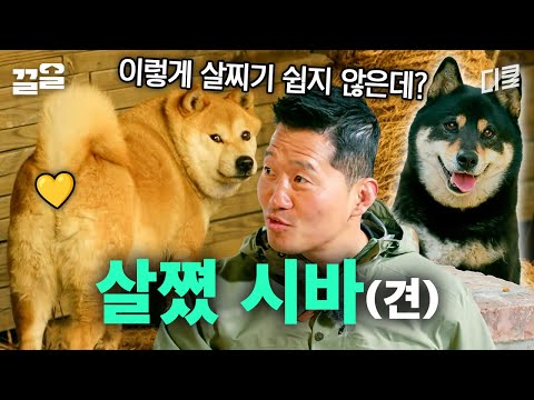 "These guys have really gained weight?" That's what Kang Hyung-wook said the moment he saw this S...