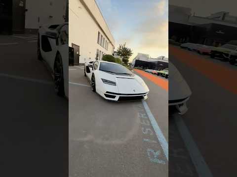 The World's Rarest Lamborghinis! 🤩#rare #cars #lamborghini