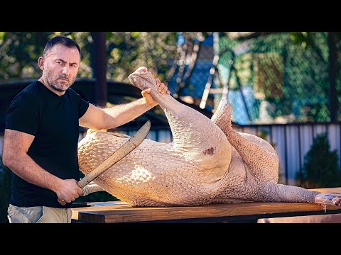 GRILLED OSTRICH. OSTRICH MEAT on CHARCOAL. ENG SUB