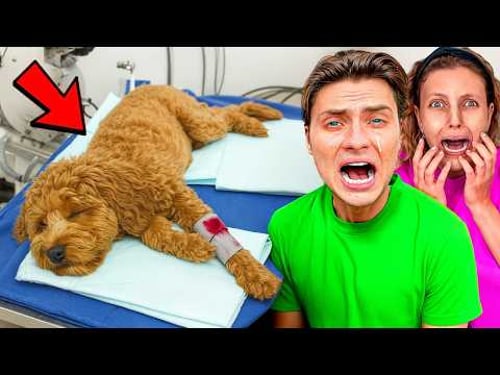 The Vet Gave Us Bad News…