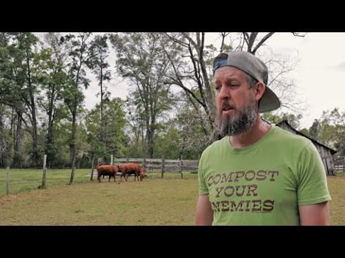 WARNING: This COMMON Toxin in Manure Will DESTROY Your Garden!