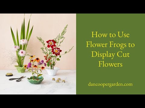How to use Flower Frogs to Display Cut Flowers
