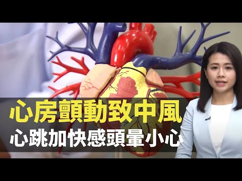 心房顫動致中風 心跳加快感頭暈小心 - 最強生命線 - 香港新聞 - TVB News- 黃靖婷