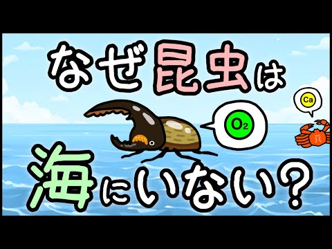 【100年以上未解決】小学生でもわかる・昆虫が海にいない理由【科学・ざっくり解説】