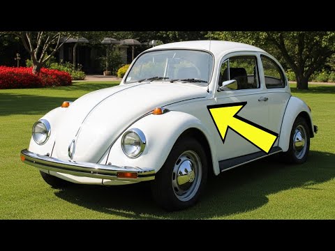 The 200 hp Mexican engine from the Beetle that VW never wanted you to see