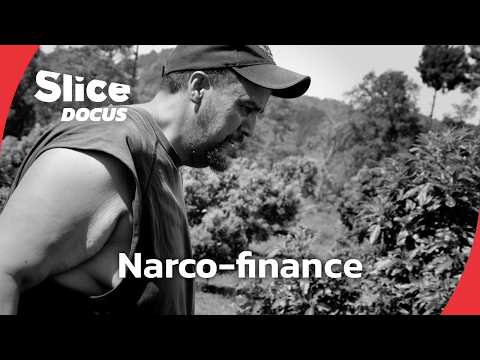 Comment les cartels ont-ils mis la main sur les banques ? | Episode 2/2 | SLICE DOCUS