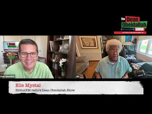 Elie Mystal talks Democrats must create a shadow govt, SCTOUS horrible anti-Trans decision & more