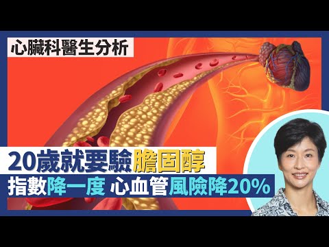 膽固醇疑團拆解 膽固醇對身體健康都有好處?血脂膽固醇指數標準都會搬龍門 美國指引20歲就要開始驗膽固醇?壞膽固醇每降一度心血管疾病風險降20%|王建芳醫生 心臟科醫生吳基恩醫生|人類健康研究所