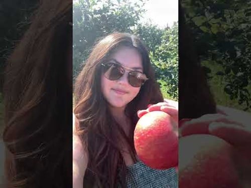 Apple picking with my boys π #dayinmylife #apple #applepicking #orchard #farm #momtok #sahm