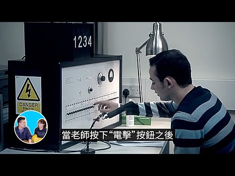 一個可怕的心理實驗,米爾格拉姆實驗 | 老高與小茉 Mr & Mrs Gao